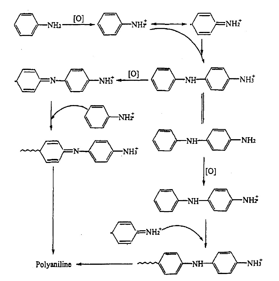 wei提出的苯胺化学聚合反应机理