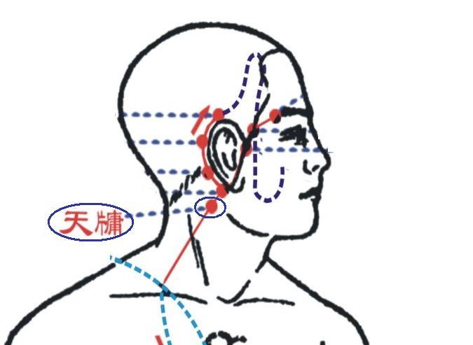天牖穴图册_360百科