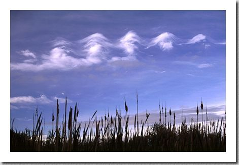 波状云物理学地理