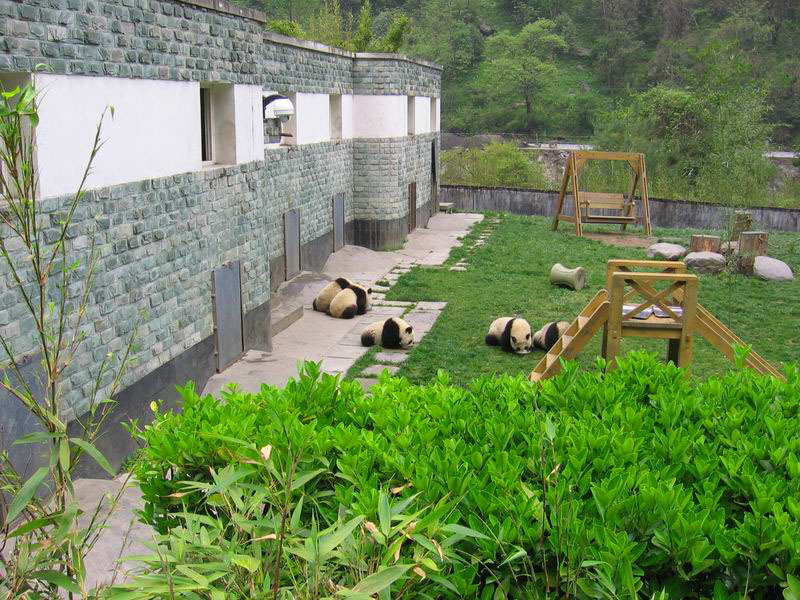 日隆镇图册_360百科