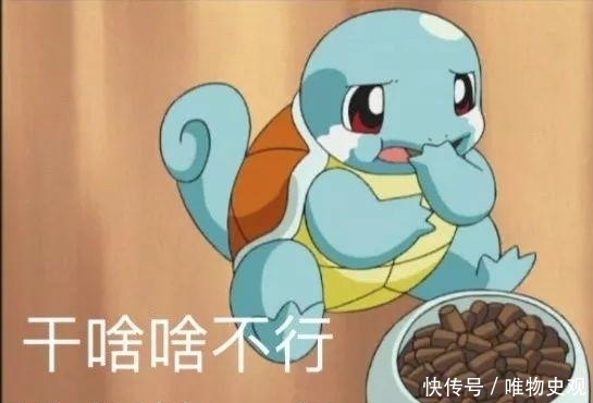 朱广权跨年网络
