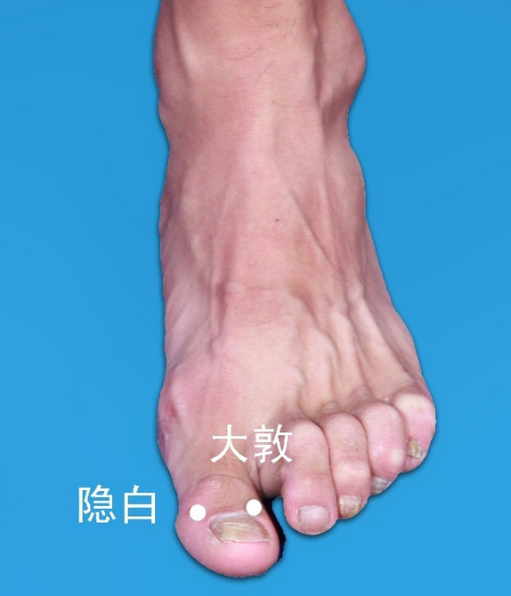 隐白穴图册_360百科