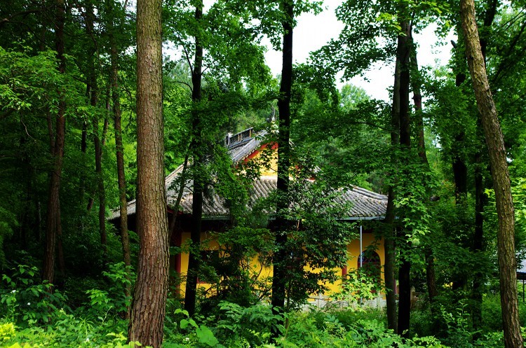 白露山,位于兰溪市区西北约17公里的女埠,黄店两镇交界处,面积约13.