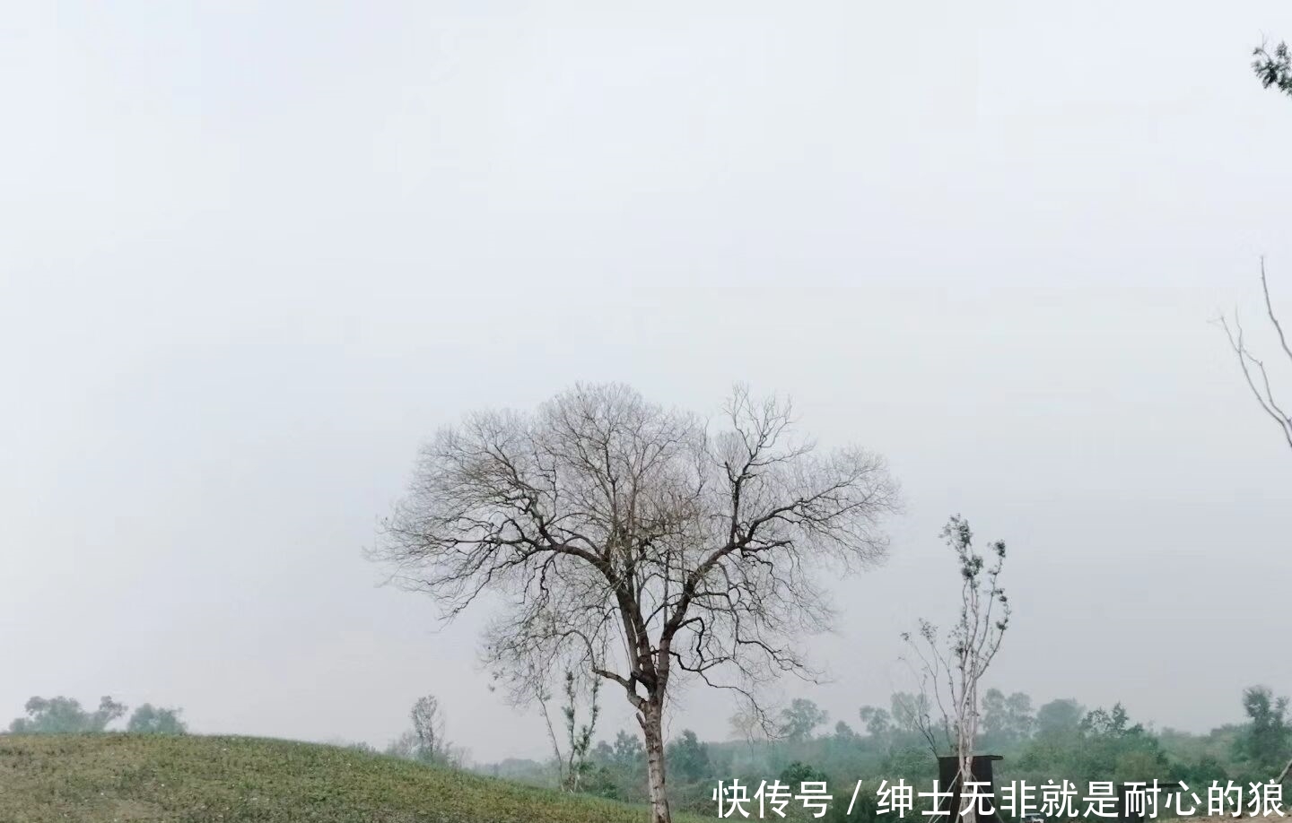 2019年最后一餐朋友圈