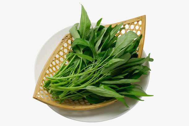 空心菜图册_360百科