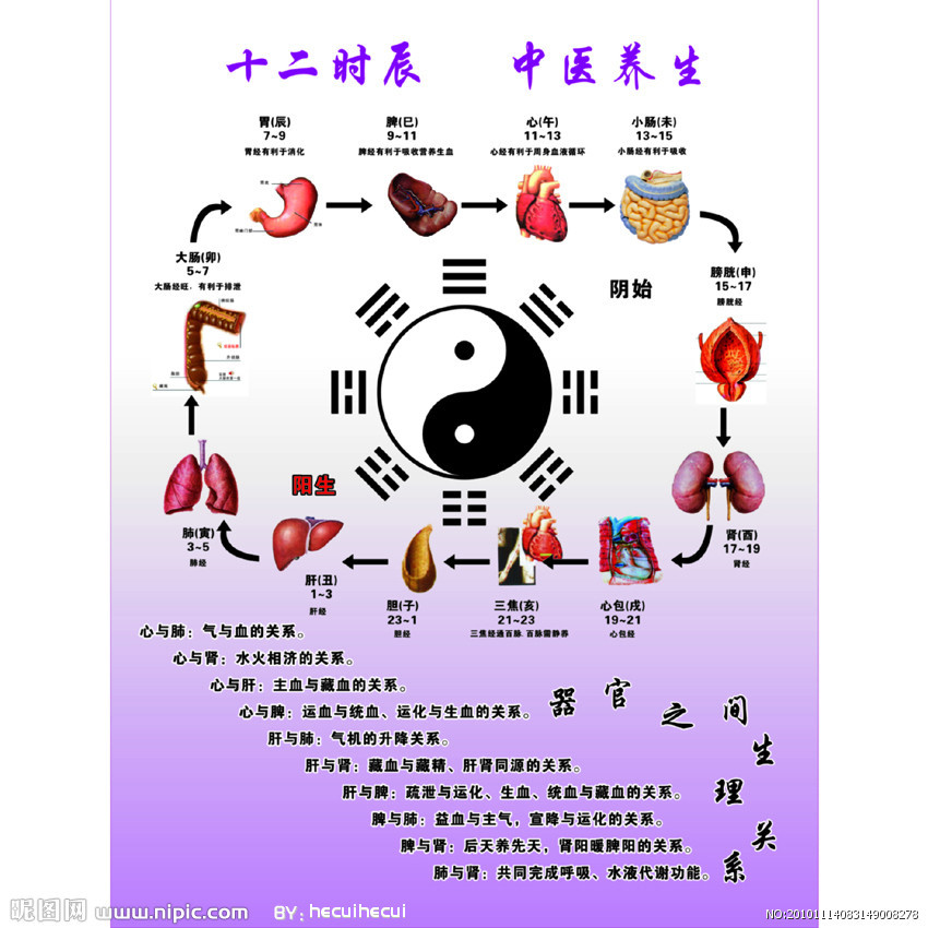 12时辰图册_360百科