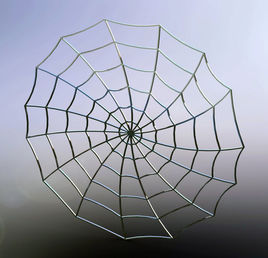 蛛网模型自动化