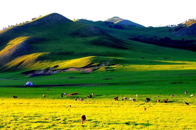 乌兰毛都草原_360百科
