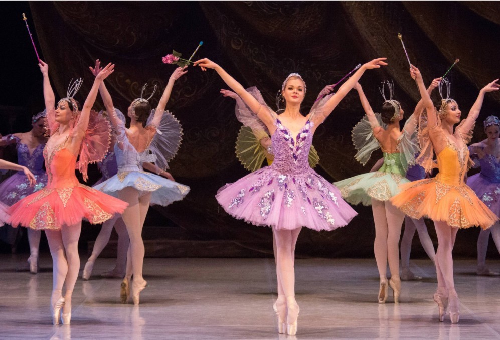 俄罗斯国家芭蕾舞团图册_360百科
