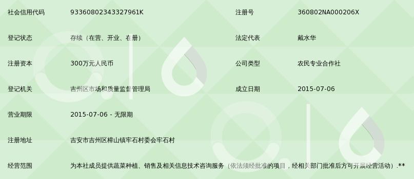 优化工作流程：组织工作咨询的意义与实践