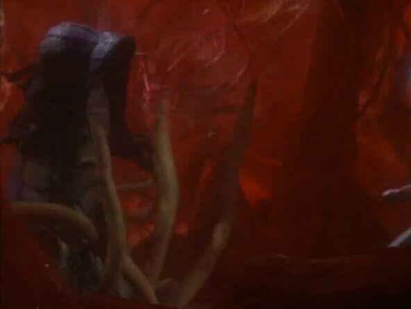 宇宙植物 360百科