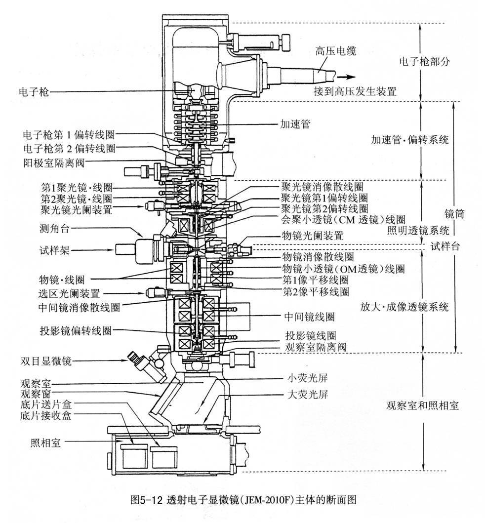 电子显微镜构造图图片