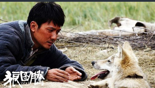 一部关于生存