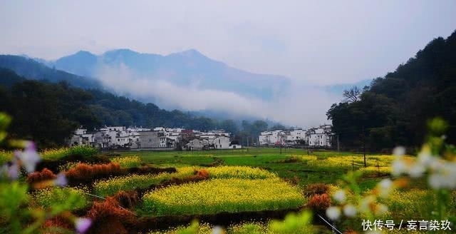 2020年农业农村工作