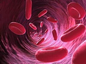 血小板图册_360百科