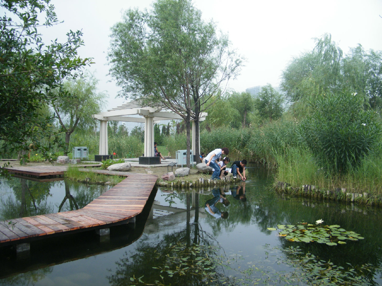 南宁植物园在青秀山风景区正式揭牌-中国植物园联盟