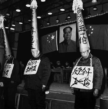 中国共产党中央委员会关于无产阶级文化大革命的决定_360百科