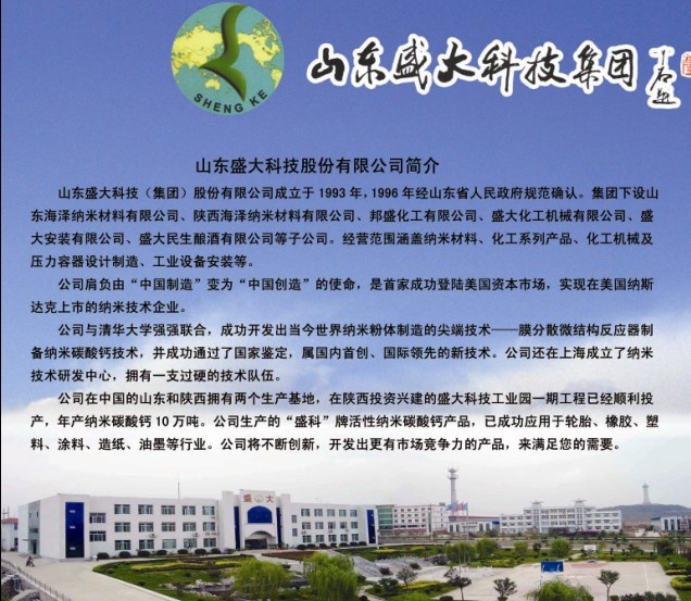 山东盛大科技 盛大科技上涨119%,报3447美元股,总市值374亿美元