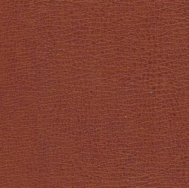 褐色(词汇 | 光电)褐色,是处于红色和黄色之间的任何一种颜色.