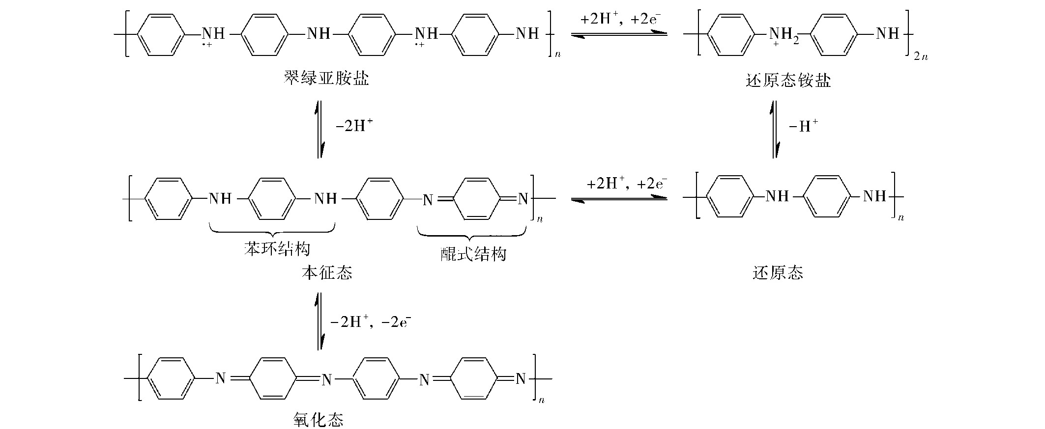 聚苯胺