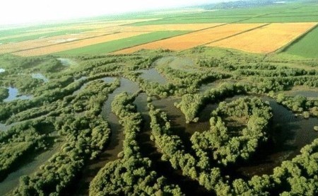 冲积平原(平原 | 石材)
