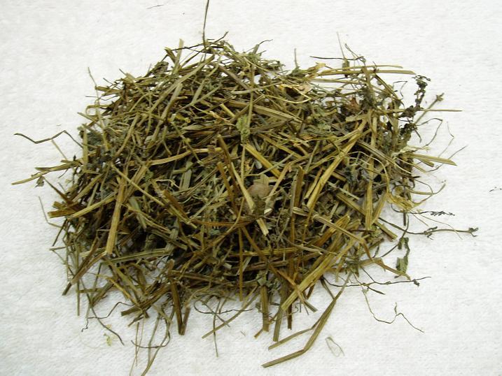 白花蛇舌草_360百科