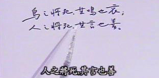 鸟之将死_360百科