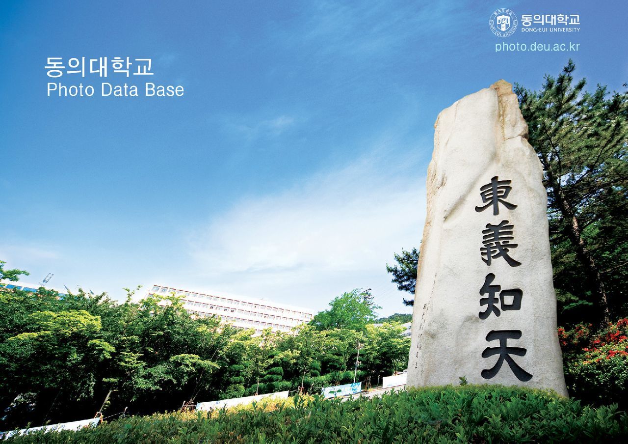 东义大学_360百科