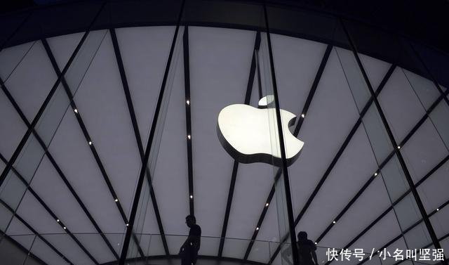 苹果有什么样的苹果