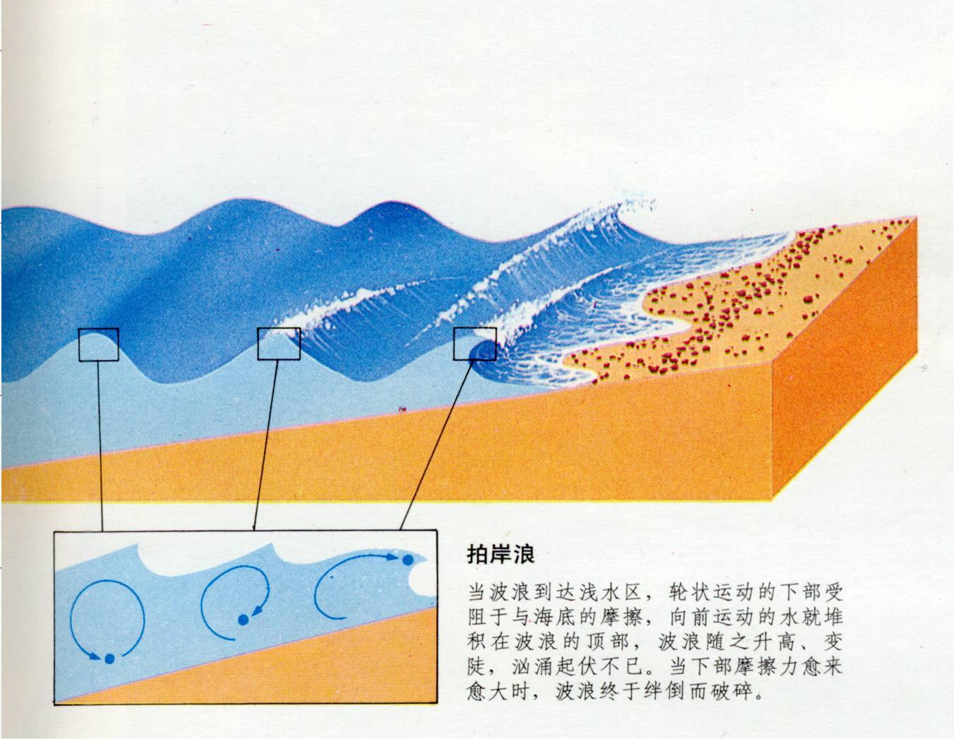 浪基面_360百科