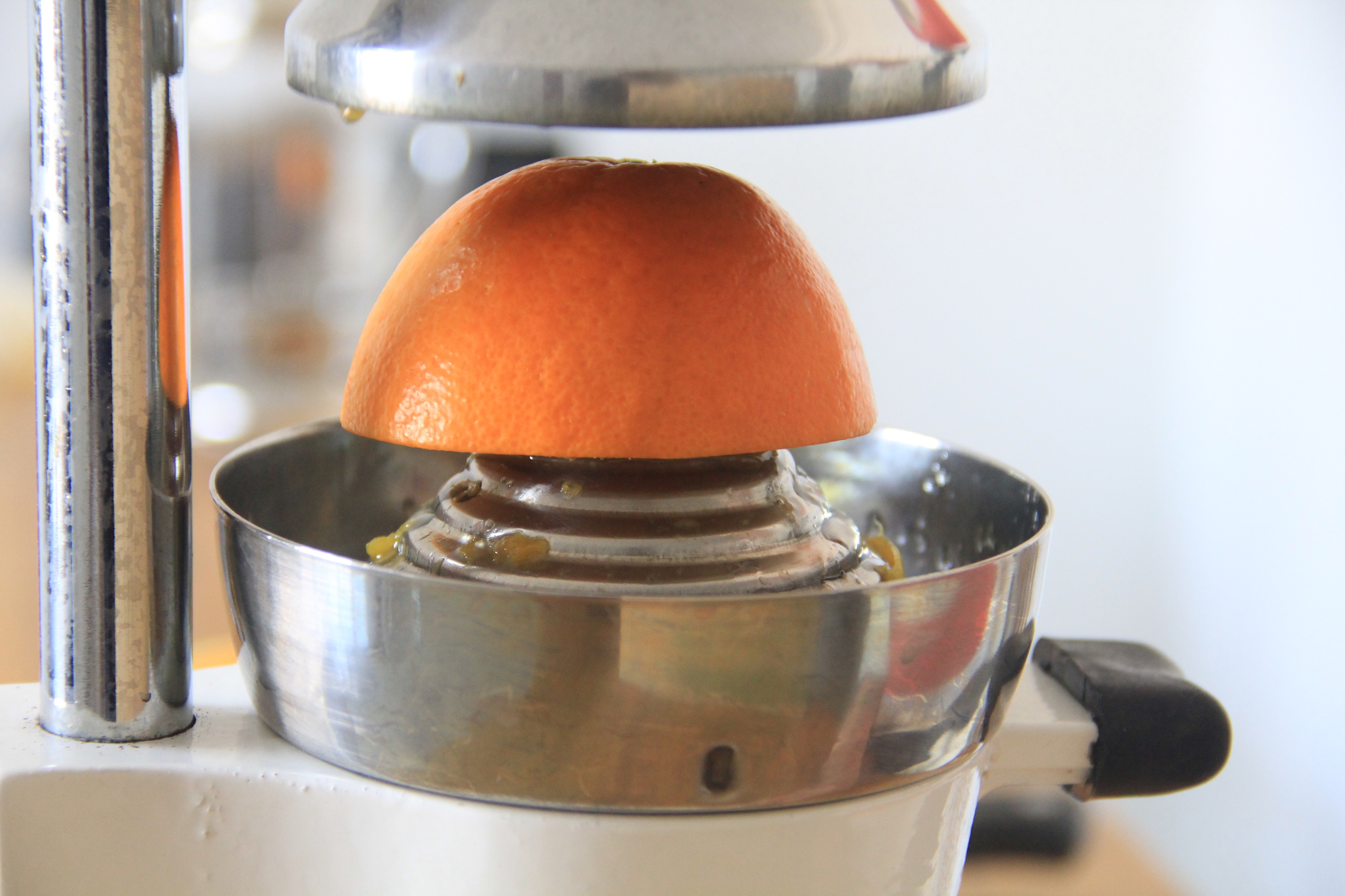 鲜榨橙汁怎么做_鲜榨橙汁的做法视频_胶P糖_豆果美食