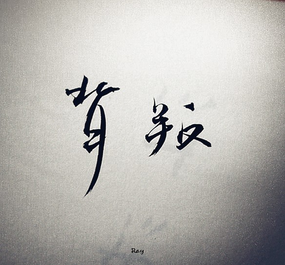 一场关于谎言