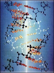 分子生略板别六毛垂事成项速物  免费编辑   添加义项名