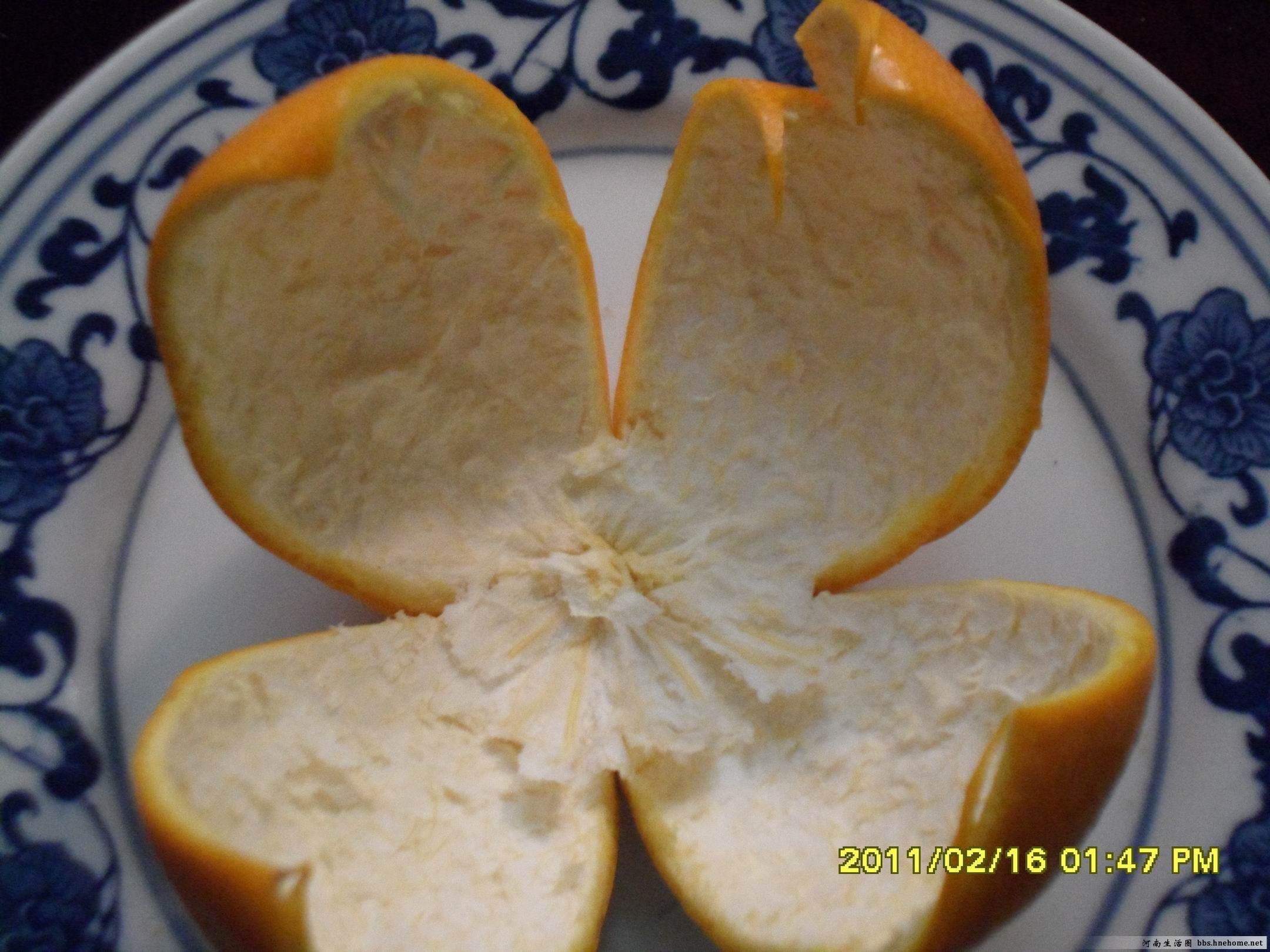 教大家一个不剥开橘子皮就知道橘子有几瓣儿的小技巧__财经头条