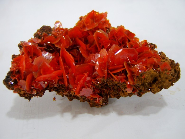 钼铅矿 (化学 钨酸盐|钼酸盐)