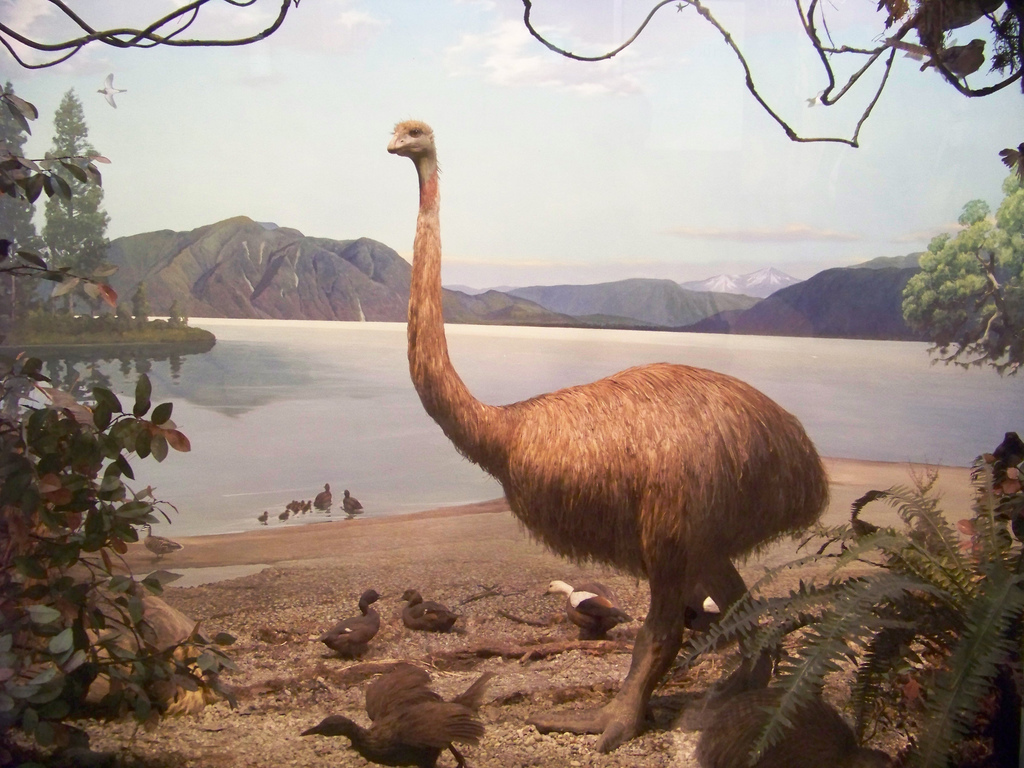 8种在北美洲漫游的冰河时期的巨型动物 - 知乎