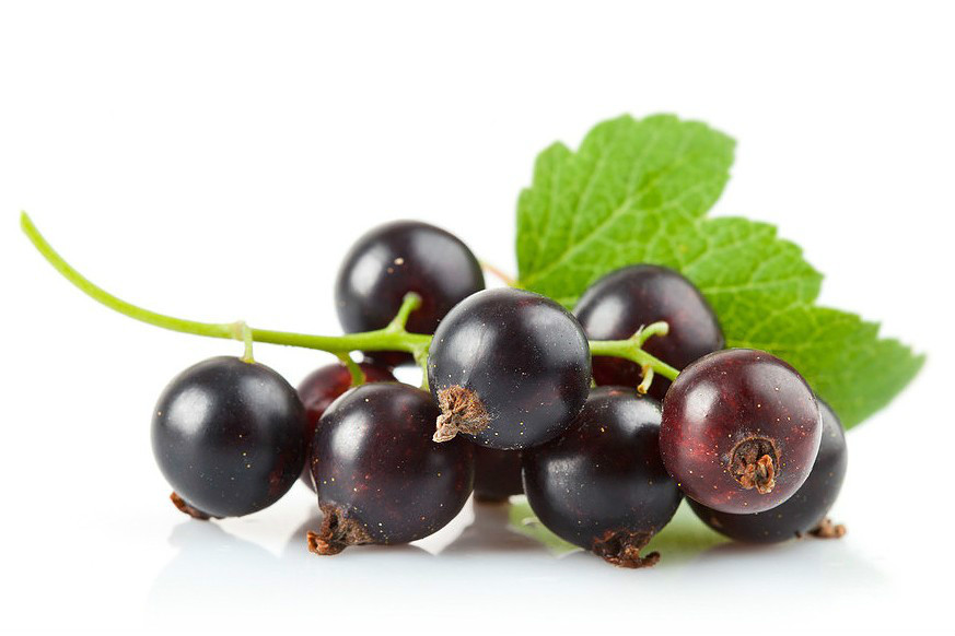 紫莓图册_360百科