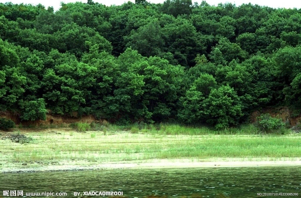 法正林图册_360百科