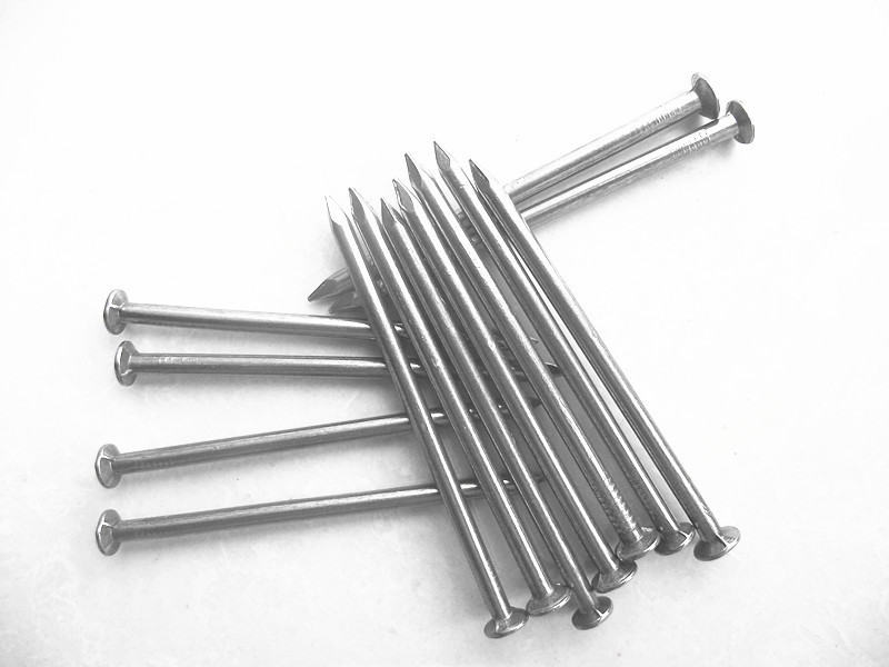 圆钉(建筑 名词)