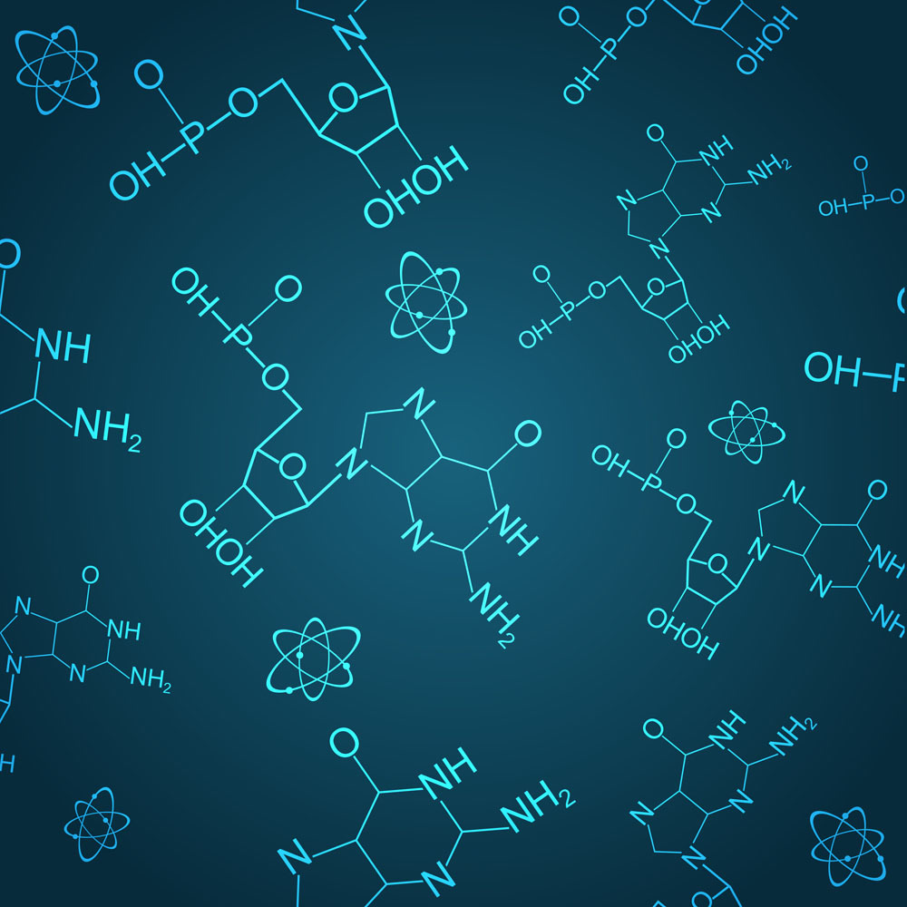 构型与组成的相互关系以及结构和各种运动的相互影响的化学分支学科