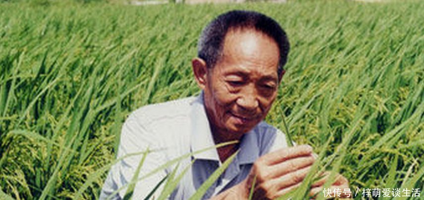 袁隆平是多少人