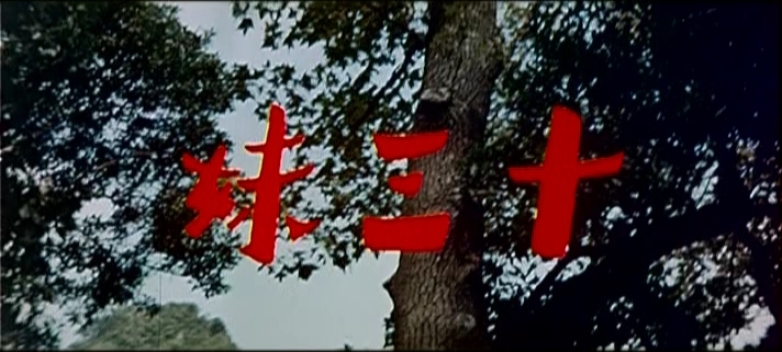 83版十三妹演员表引见