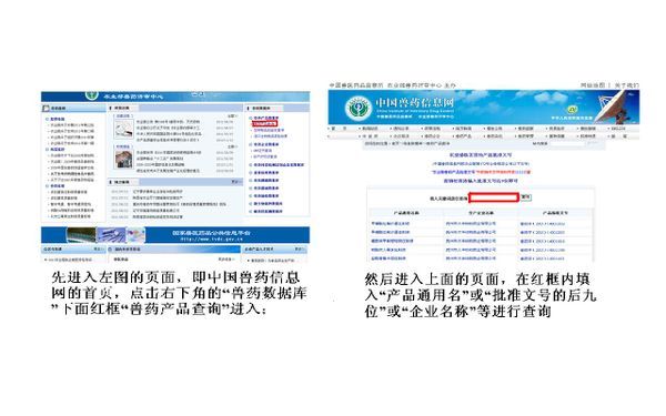 兽药查询真伪查询系统 (兽药查询真伪入口)