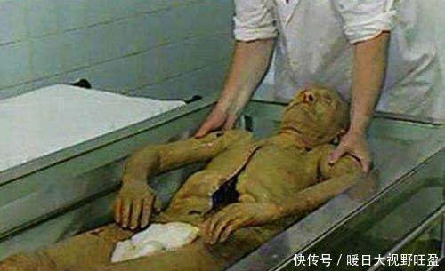 俄罗斯政府怎么回事