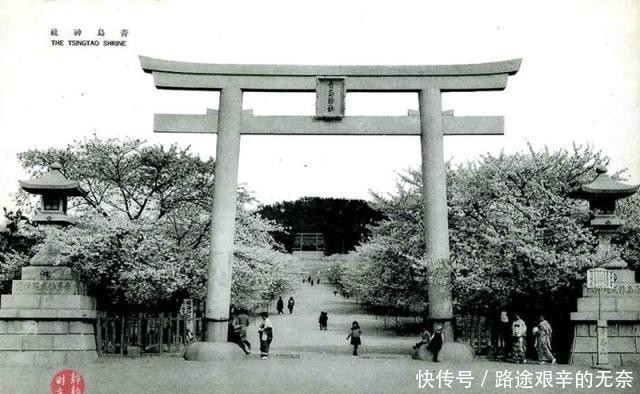 山东青岛学校有多少