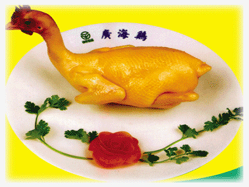 广海鸡图册_360百科