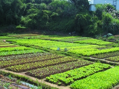 田垄_360百科
