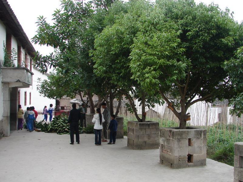 山田村图册_360百科