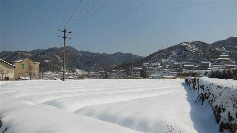 舒城县西南山区,与桐城市,潜山县接壤,并与本县河棚镇,晓天镇,城冲乡