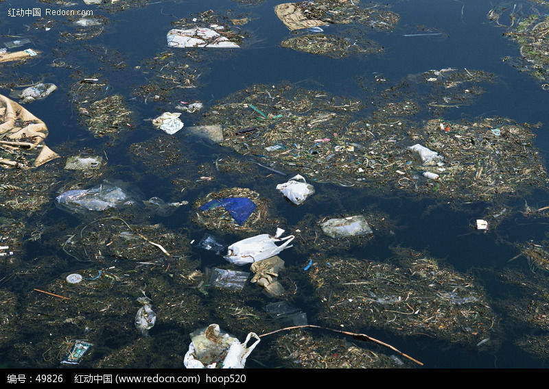 浸泡种子的目的是什么